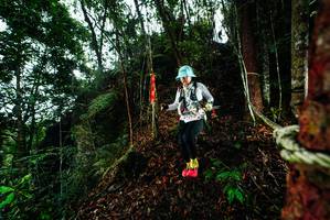 BIB: 
                            <button type="button" onclick="openModal(26198345)" class="btn btn-primary btn-sm float-right btn-popup" data-toggle="modal" data-target=".modal-high-quality">
                        <i class="fas fa-shopping-cart"></i> Add to Cart
                    </button>
                                            <button type="button" onclick="isThisMe(26198345, true)" class="btn btn-success btn-sm float-right btn-popup btn-isme hidden" data-toggle="tooltip" data-placement="bottom" title="นี่คือรูปของคุณใช่ไหม คลิกที่นี่เพื่อเอาเข้าอัลบั้ม">
                        <i class="fas fa-plus"></i> Add to album
                    </button>
                    <button type="button" onclick="isThisMe(26198345, false)" class="btn btn-warning btn-sm float-right btn-popup btn-isnotme hidden">
                        <i class="fas fa-ban"></i> Remove from album
                    </button>